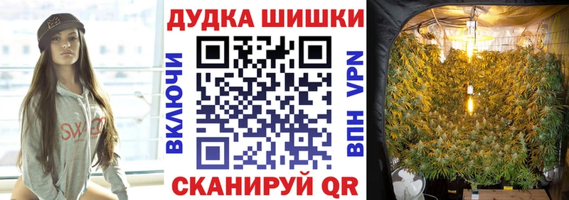 Где можно купить наркотики Шацк Галлюциногенные грибы Гашиш Бошки Шишки Alpha PVP
