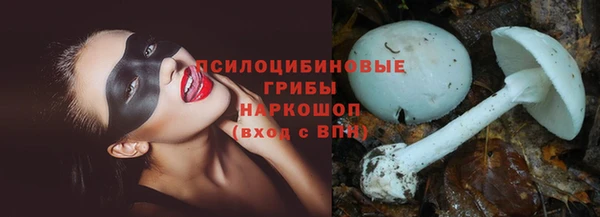 гашик Осинники