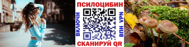 сколько стоит Шацк Псилоцибиновые грибы Magic Shrooms
